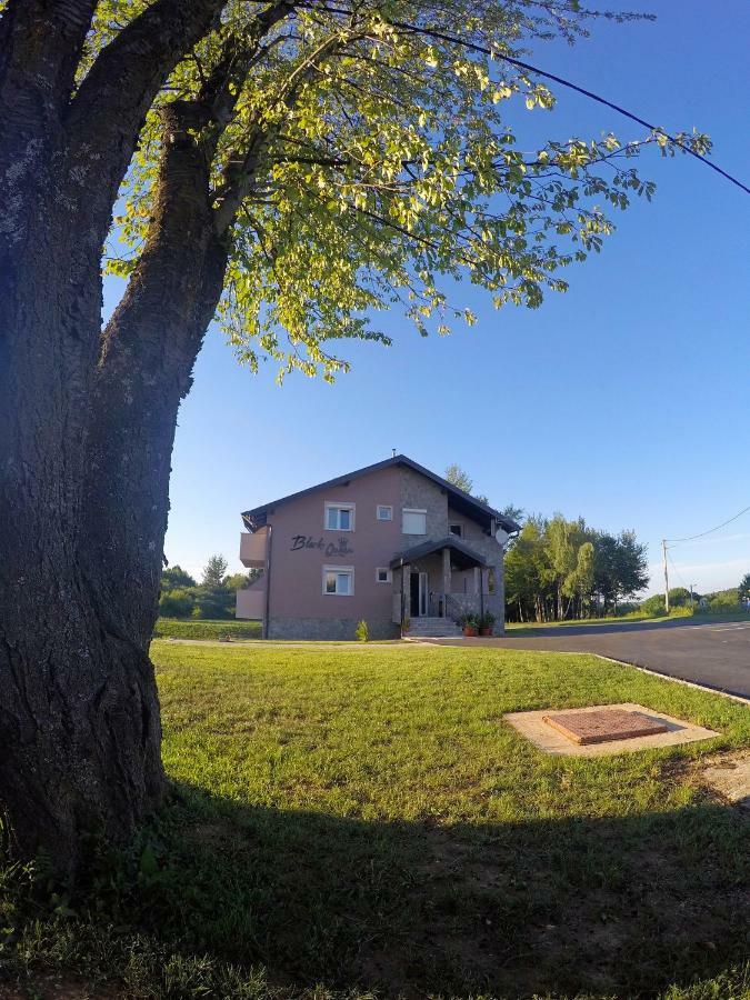 Black Queen Guesthouse Grabovac  Exterior foto